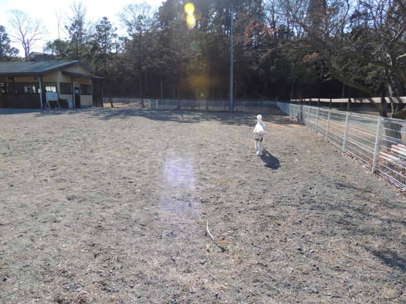 f:id:anbeto:20140113131935j:image:w360