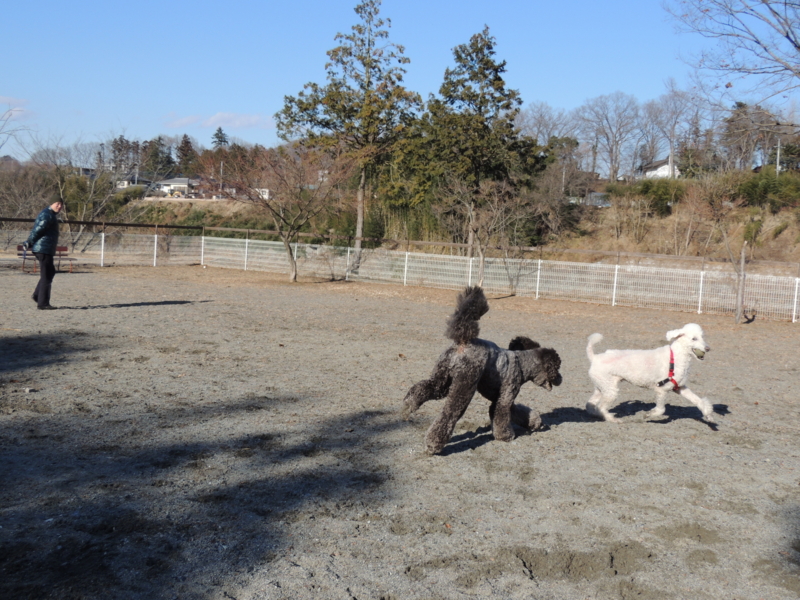 f:id:anbeto:20140113141303j:image:w360