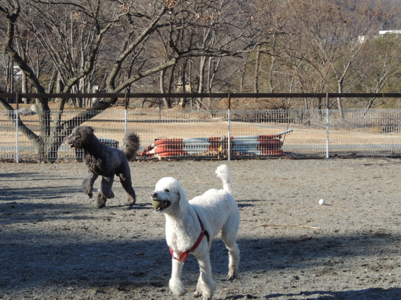 f:id:anbeto:20140113141409j:image:w360