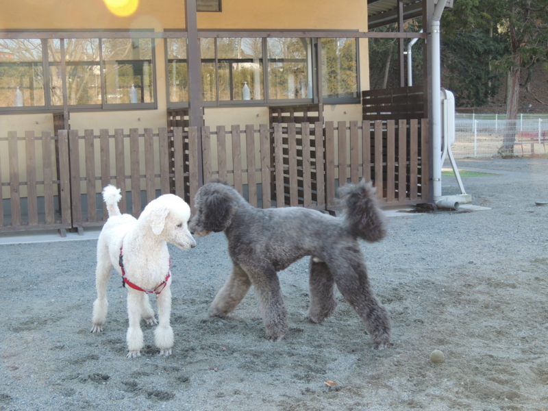 f:id:anbeto:20140113141511j:image:w360