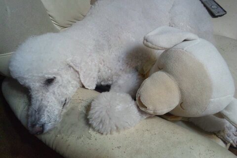 f:id:anbeto:20140123101646j:image:w360