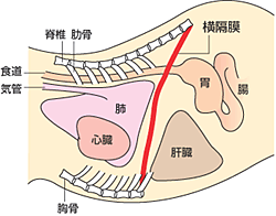 f:id:anbeto:20140126103322g:image:w360
