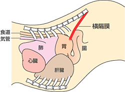 f:id:anbeto:20140126103411g:image:w360