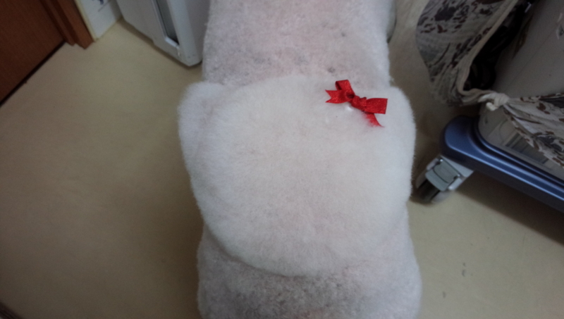 f:id:anbeto:20140302120957j:image:w360
