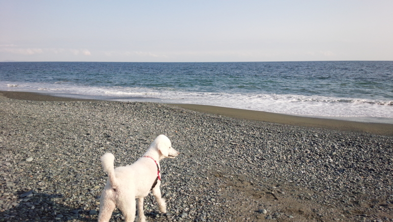 f:id:anbeto:20140309154129j:image:w360 f:id:anbeto:20140309154129j:image:w360