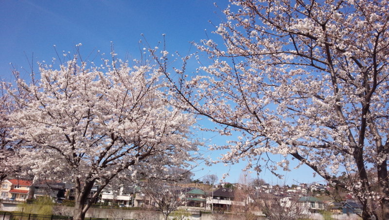 f:id:anbeto:20140331143517j:image:w360