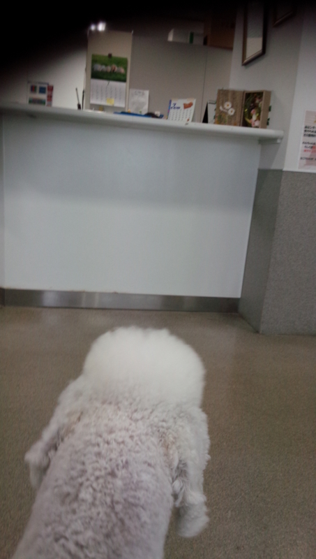 f:id:anbeto:20140703090345j:image:w360