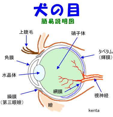 f:id:anbeto:20140802190303g:image:w360