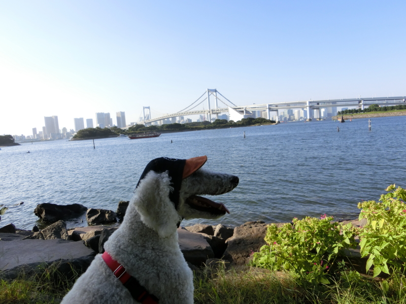 f:id:anbeto:20140928152724j:image:w360 f:id:anbeto:20140928152724j:image:w360