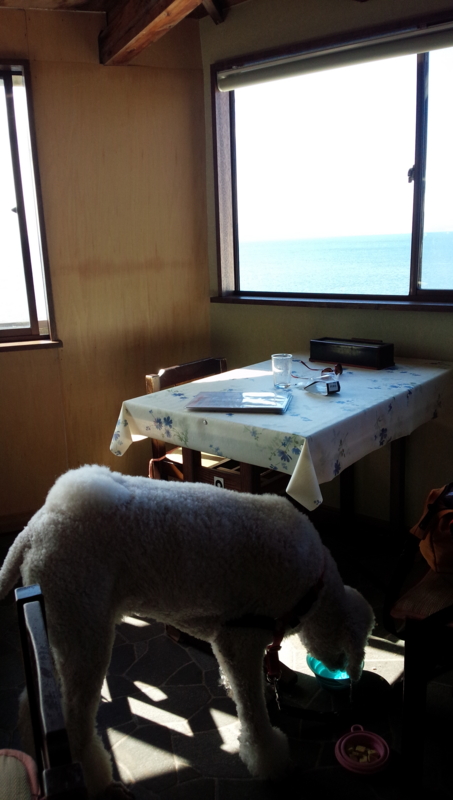 f:id:anbeto:20141104115535j:image:w360 f:id:anbeto:20141104115535j:image:w360