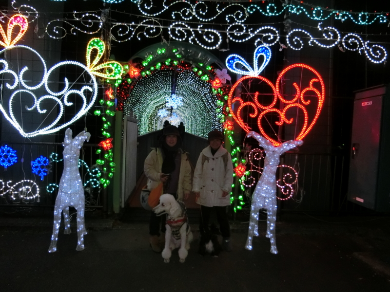 f:id:anbeto:20141207203510j:image:w360