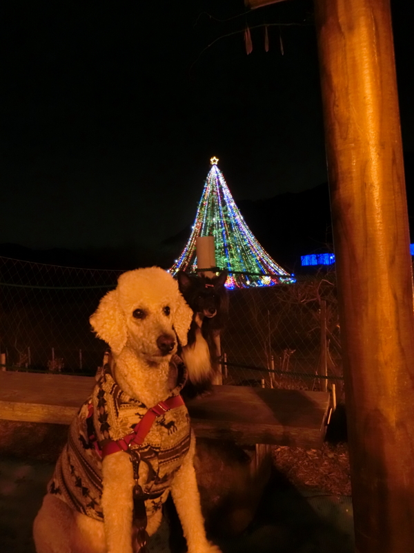 f:id:anbeto:20141207212413j:image:w360