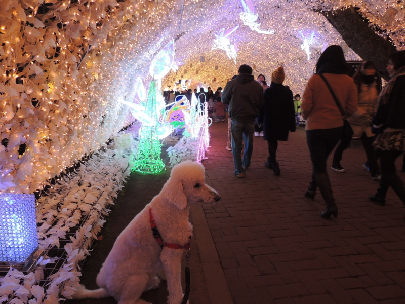 f:id:anbeto:20150102191038j:image:w360