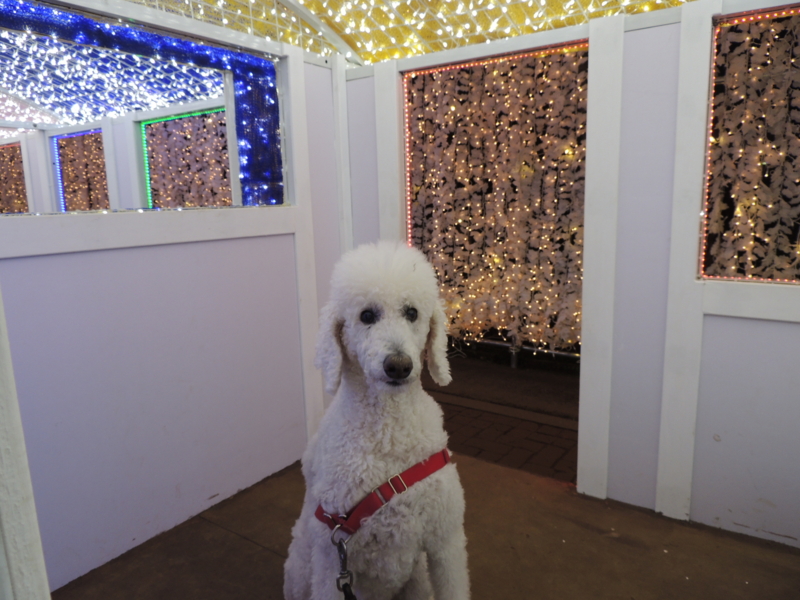 f:id:anbeto:20150102191204j:image:w360