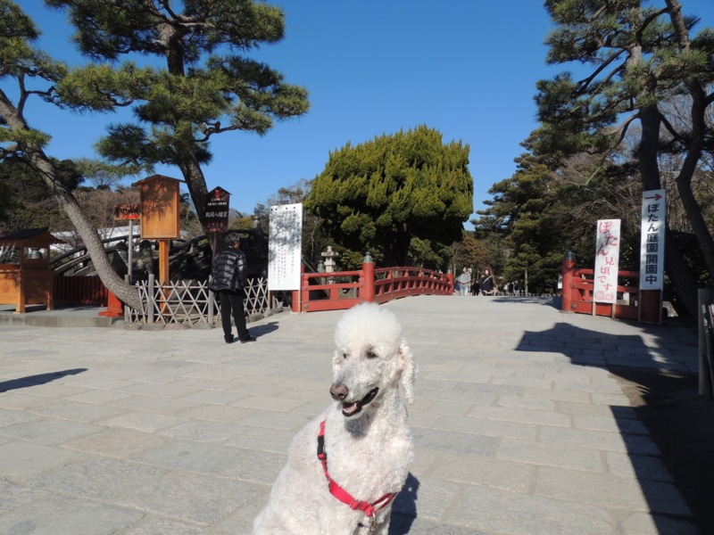f:id:anbeto:20150113125433j:image:w360 f:id:anbeto:20150113125433j:image:w360