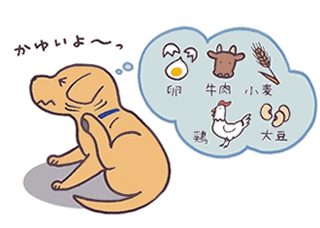 f:id:anbeto:20150306110648g:image:w360