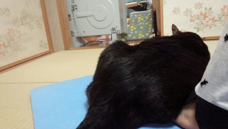 f:id:anbeto:20150420150804j:image:w360