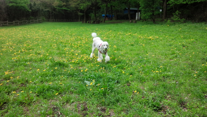 f:id:anbeto:20150421131924j:image:w360