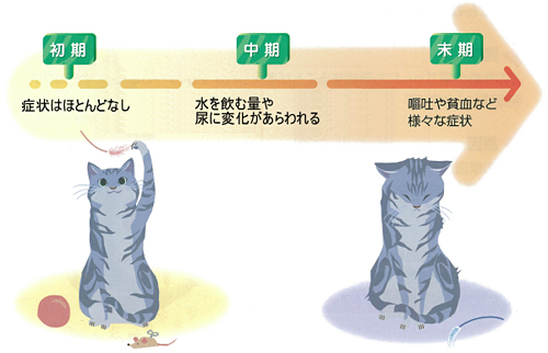 f:id:anbeto:20150521113204j:image:w360