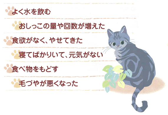 f:id:anbeto:20150521113205j:image:w360