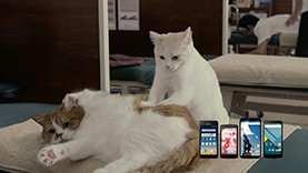 f:id:anbeto:20150731170545j:image:w360