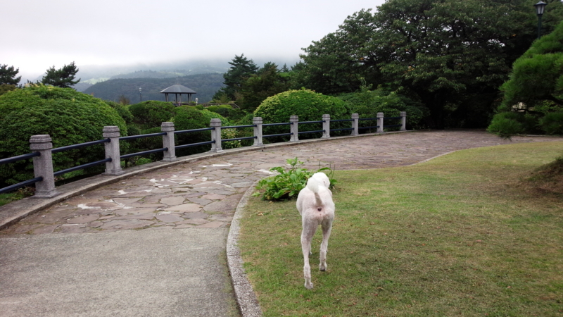f:id:anbeto:20150825100647j:image:w360