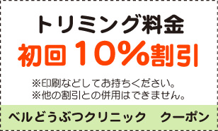 猫の慢性口内炎とｲﾝﾀｰﾌｪﾛﾝ療法 - ベルどうぶつクリニックのﾌﾞﾛｸﾞ
