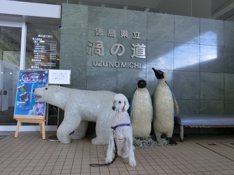 f:id:anbeto:20151111125326j:image:w360 f:id:anbeto:20151111125326j:image:w360
