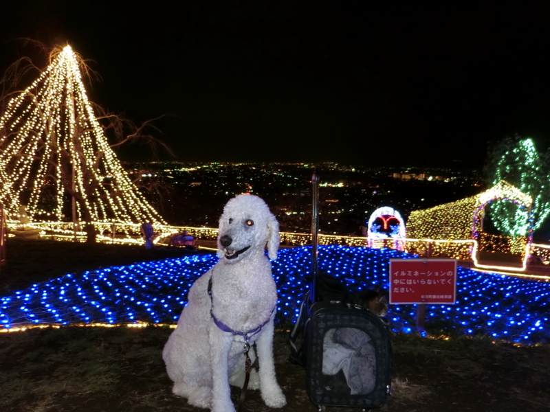 f:id:anbeto:20151214192114j:image:w360