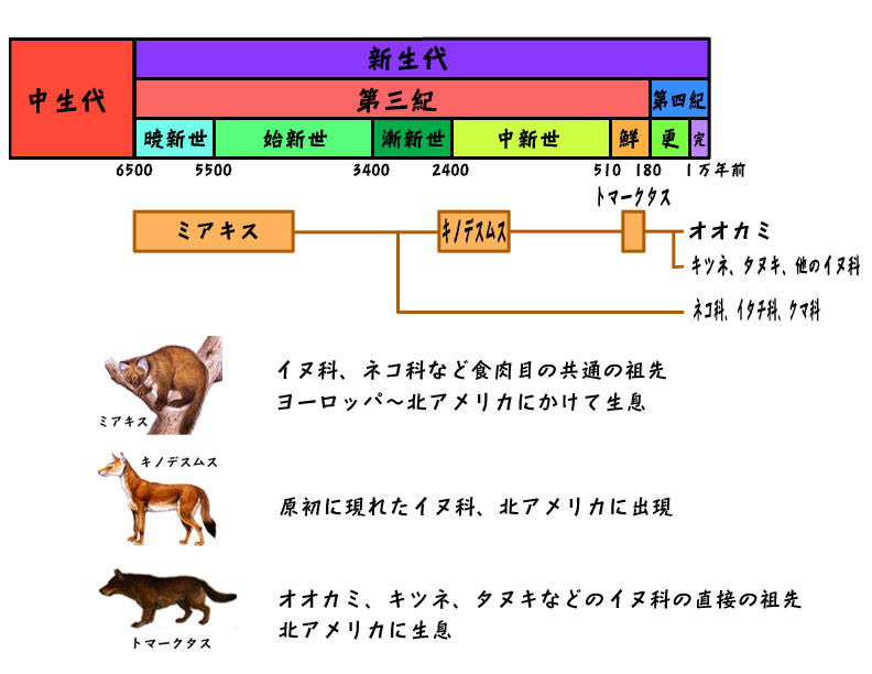 f:id:anbeto:20151226154606j:image:w360
