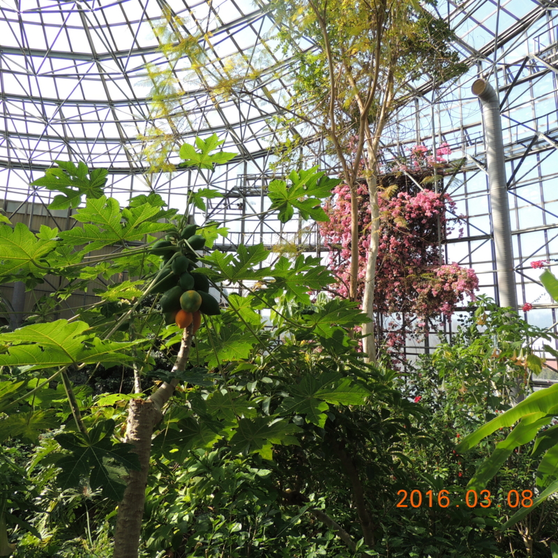 f:id:anbeto:20160308100846j:image:w360 f:id:anbeto:20160308100846j:image:w360