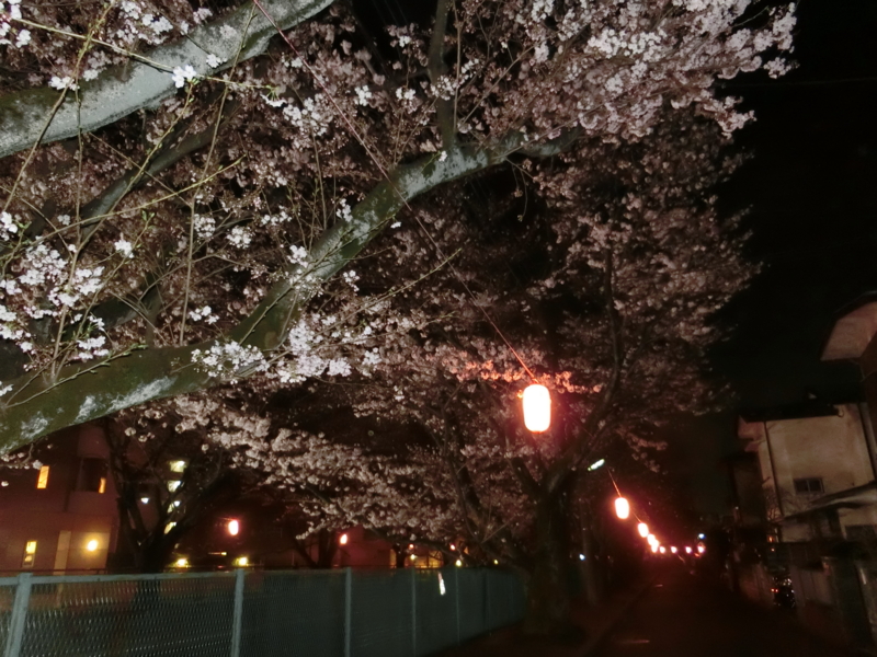 f:id:anbeto:20160330210039j:image:w360