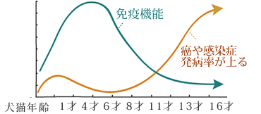 f:id:anbeto:20160820110549g:image:w360