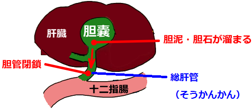 f:id:anbeto:20160930103049p:image:w360