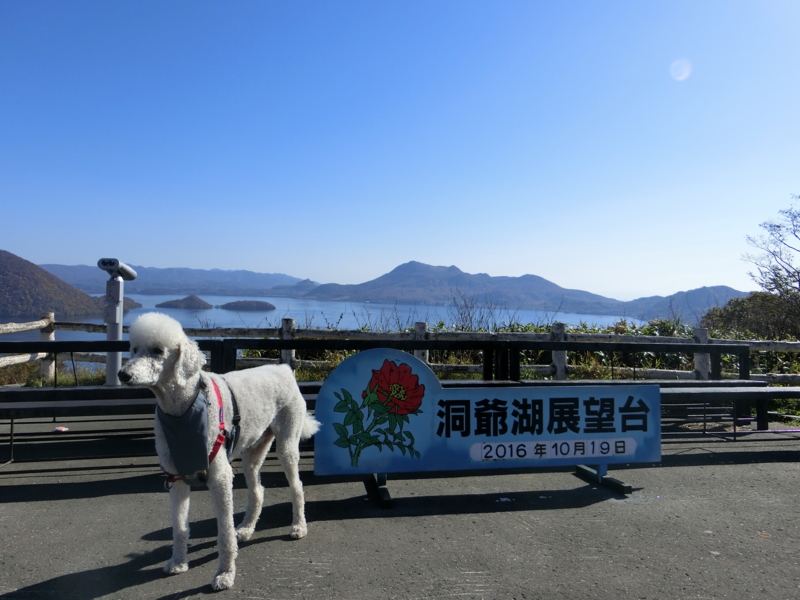 f:id:anbeto:20161019131632j:image:w360