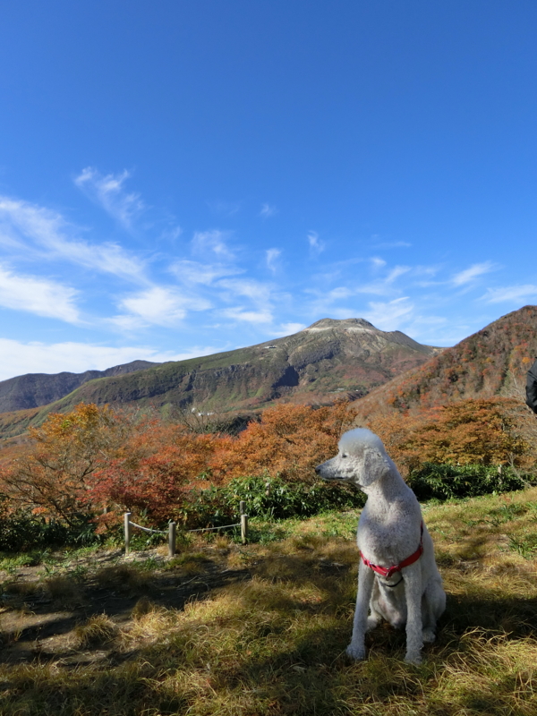 f:id:anbeto:20161021092937j:image:w360