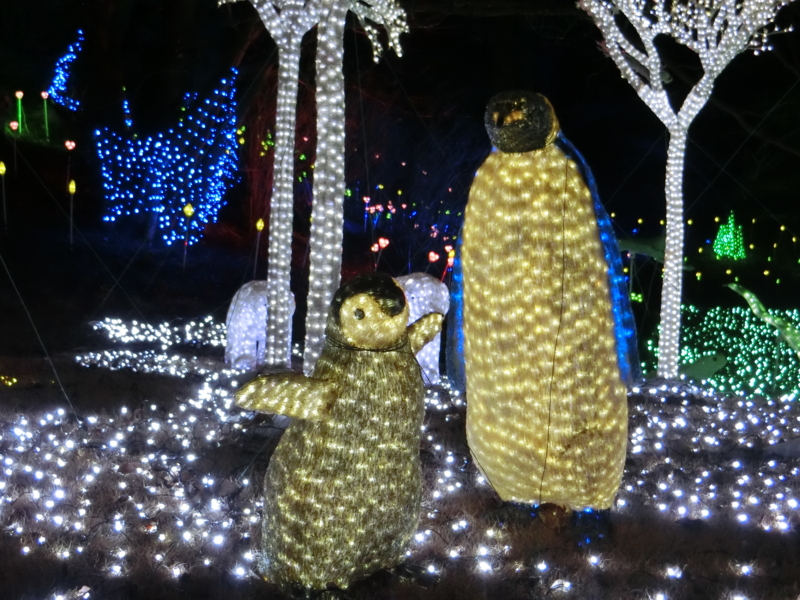 f:id:anbeto:20170130200242j:image:w360