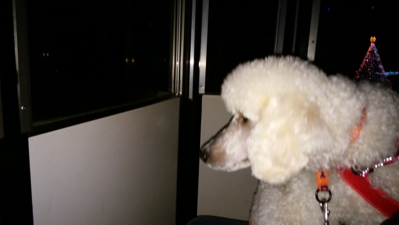 f:id:anbeto:20171203182649j:image:w360