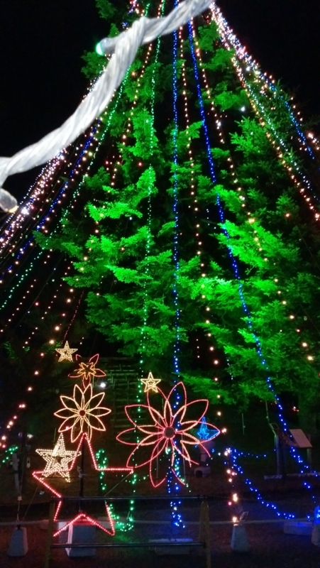 f:id:anbeto:20171203183020j:image:w360