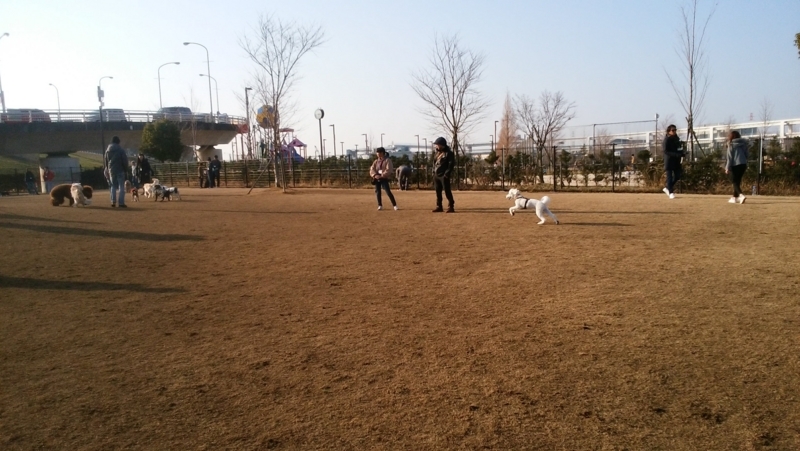 f:id:anbeto:20180121145633j:image:w360