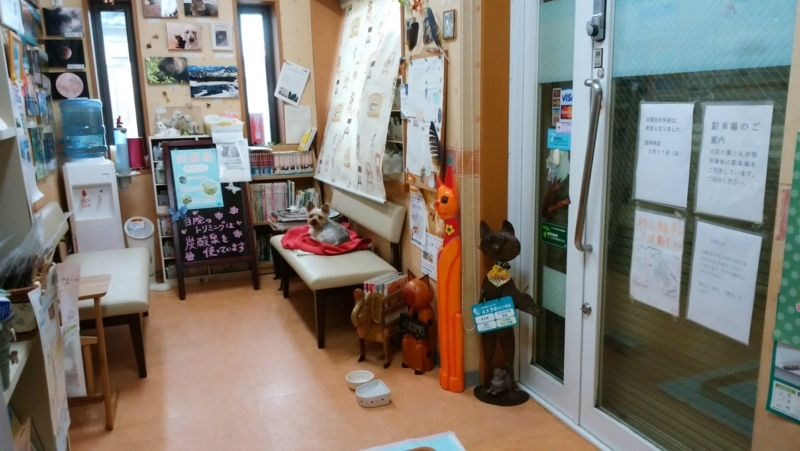 f:id:anbeto:20180204123831j:image