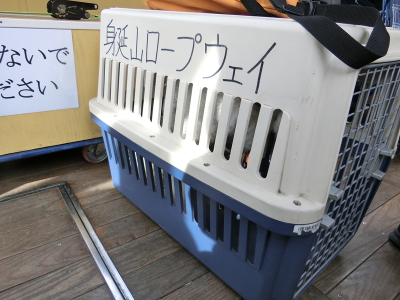 f:id:anbeto:20180212095902j:image:w360