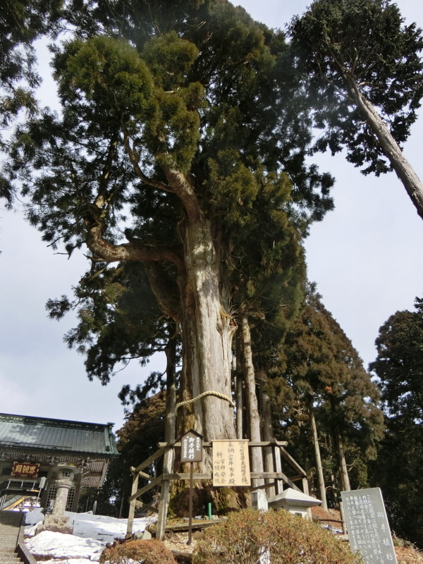 f:id:anbeto:20180212100957j:image:w360