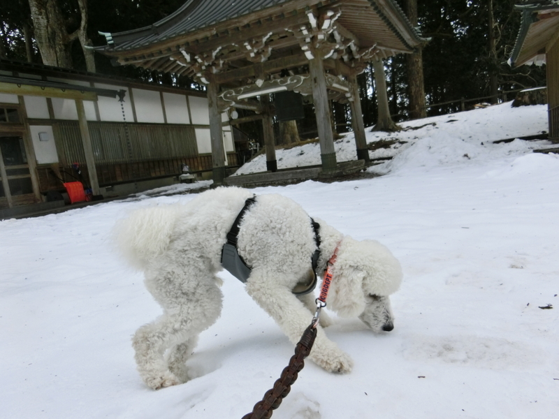 f:id:anbeto:20180212101442j:image:w360