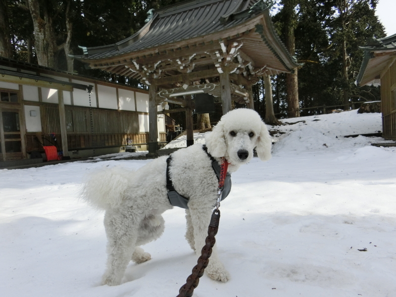 f:id:anbeto:20180212101459j:image:w360