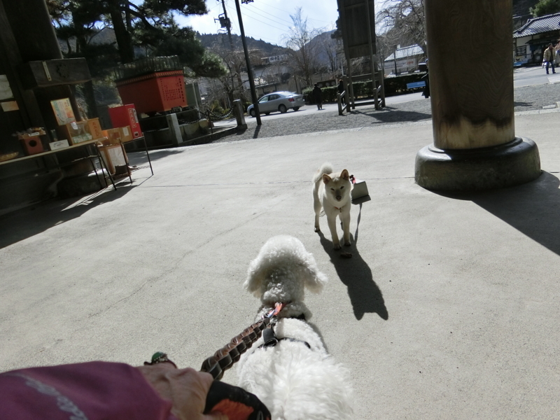 f:id:anbeto:20180212113840j:image:w360