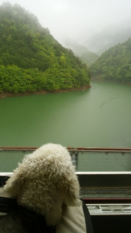 f:id:anbeto:20180507133621j:image:w360