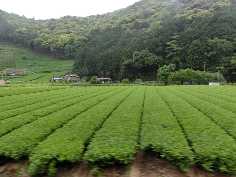 f:id:anbeto:20180508162841j:image:w360