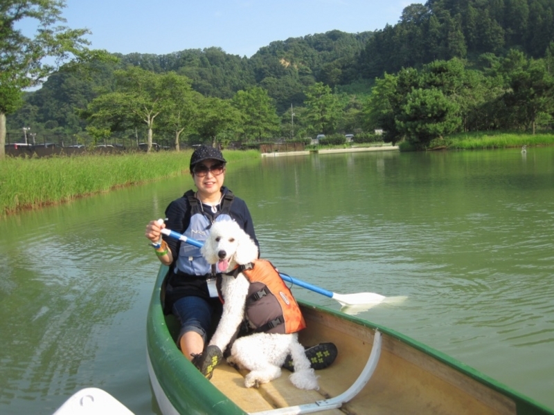 f:id:anbeto:20180806094107j:image:w360