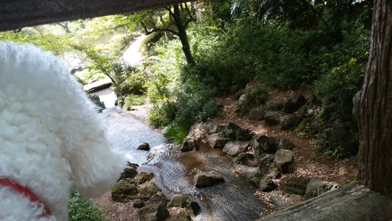 f:id:anbeto:20180819140513j:image:w360 f:id:anbeto:20180819140513j:image:w360